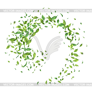 Green Flying Leaves - vector clip art