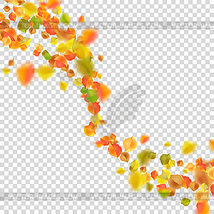 Autumn Flying Leaves - vector image