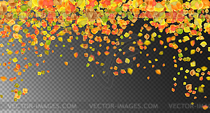 Autumn Flying Leaves - color vector clipart