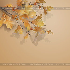 Autumn oak leaves branch - vector image