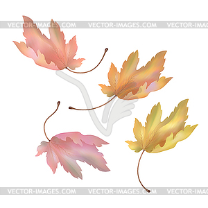 55,117 Maple leaf Vector Images  Depositphotos - Clip Art Library