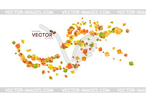 Autumn Flying Leaves - vector clipart