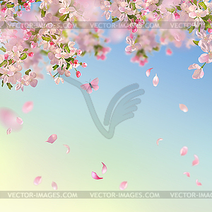 Spring Cherry Blossom Background - vector image