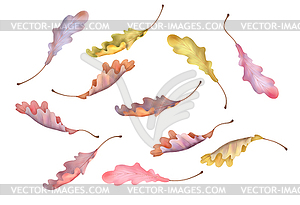 Oak Leaf - vector clipart