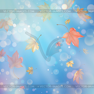 Flying Autumn Leaves - vector clipart