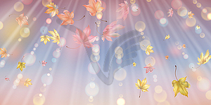 Flying Autumn Leaves - color vector clipart