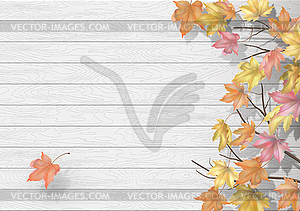 Autumn background with maple leaves - vector image