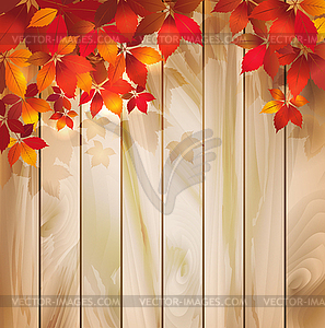 Autumn background with leaves on wood texture - color vector clipart