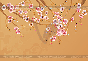 Spring cherry blossoms - vector image