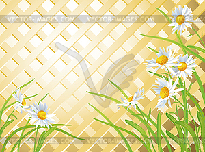 Daisies on background of wooden trellis - vector clipart