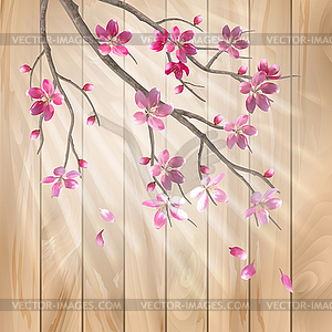 Spring cherry blossom flowers on wood texture - royalty-free vector clipart