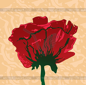 Poppy flower - stock vector clipart