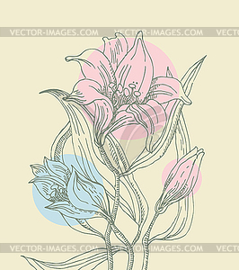 Floral background with lilies - stock vector clipart