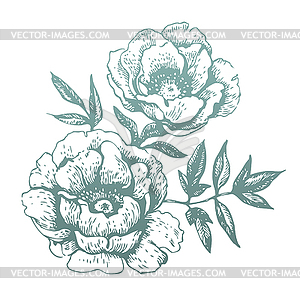 Flowers. Hand-drawn s - vector clip art