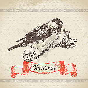 Christmas bullfinch and ashberry - vector clipart