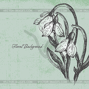Floral background with snowdrop in retro style - vector image