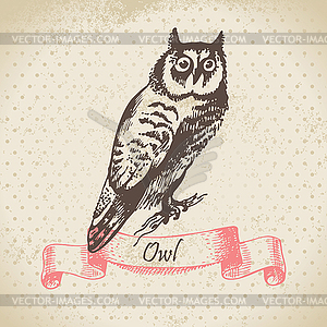 Owl bird, hand-drawn - vector image