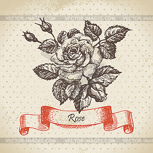 Rose. vintage design - vector clipart