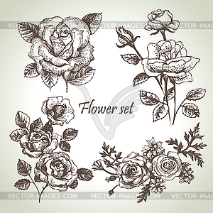 Floral set. s of roses - vector clipart