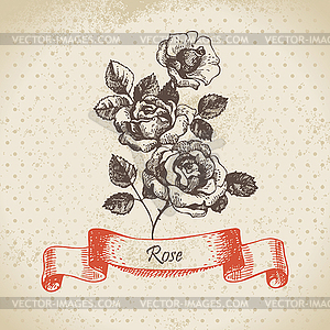 Роуз. Vintage Design - клипарт в формате EPS