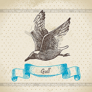 Gull - vector clipart