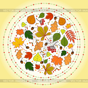 Autumn leaves background - vector image