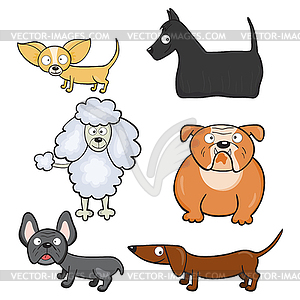 Cartoon dogs - vector image