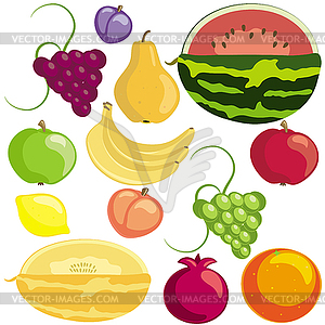 Fruits - vector image