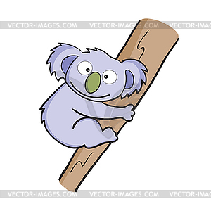 Koala - vector image