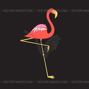 Beautiful red flamingo - vector clip art