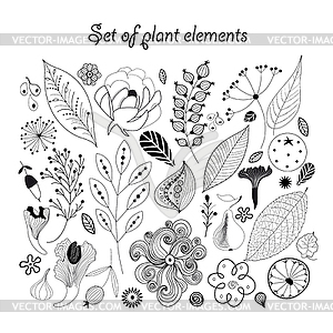 Красивый графический набор с растениями - черно-белый векторный клипарт
