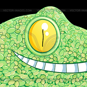 Portrait of crocodile - vector image