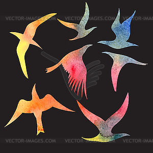 Watercolor set bird - vector image