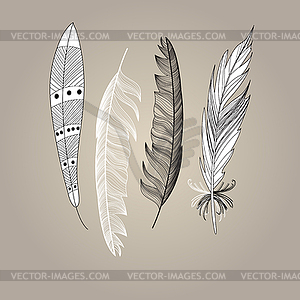 Set of bird feathers graphic - vector image