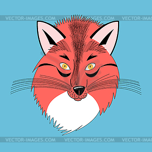 Portrait of Fox - vector EPS clipart