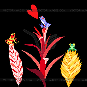 Multi colored frogs - vector image