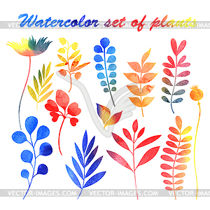 Watercolor set of plants - vector clip art