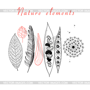 Natural set of different objects - vector image
