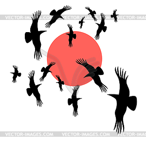 Black crows circling in sun - vector image