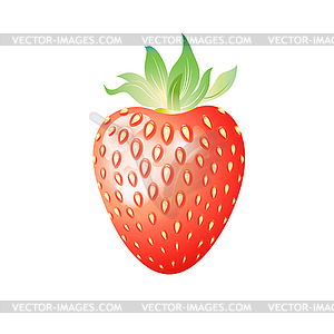 Delicious wild berry strawberry - vector image