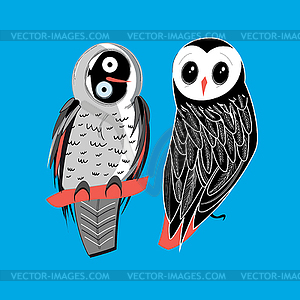 Two owls on blue - vector clip art