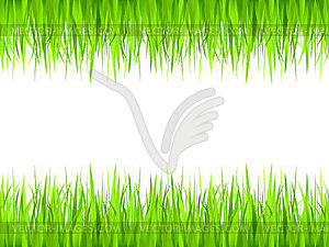 Grass frame - vector image