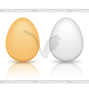 Brown and White Eggs - vector clipart