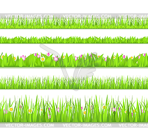 Green grass - vector image