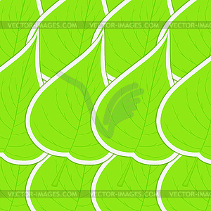 Green leaves background - vector image