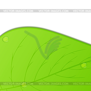 Green Leaf - color vector clipart