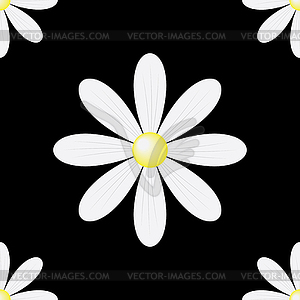 Daisy seamless background - vector clipart