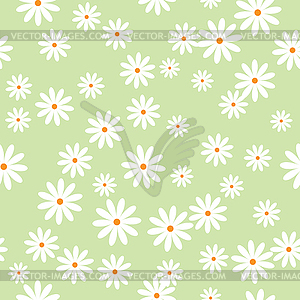 Daisies - vector image