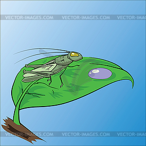 Grasshopper - vector EPS clipart