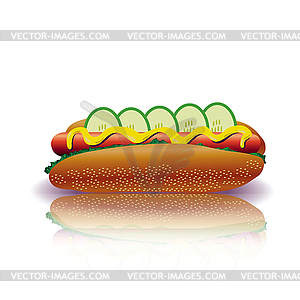 Hot dog - vector image